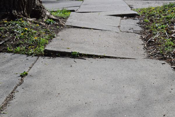 Cost of Uneven Sidewalk Repair in Winter Park