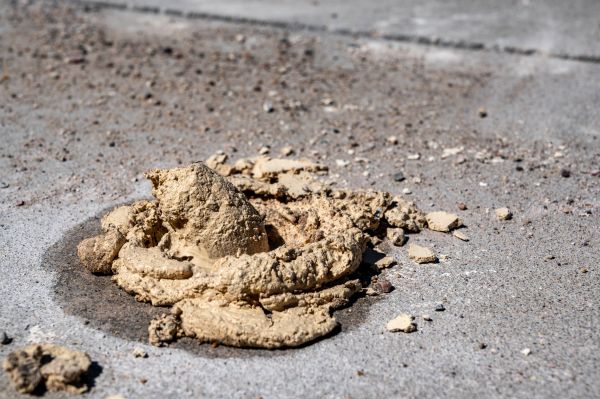 Cost of Driveway Slab Leveling in Winter Park